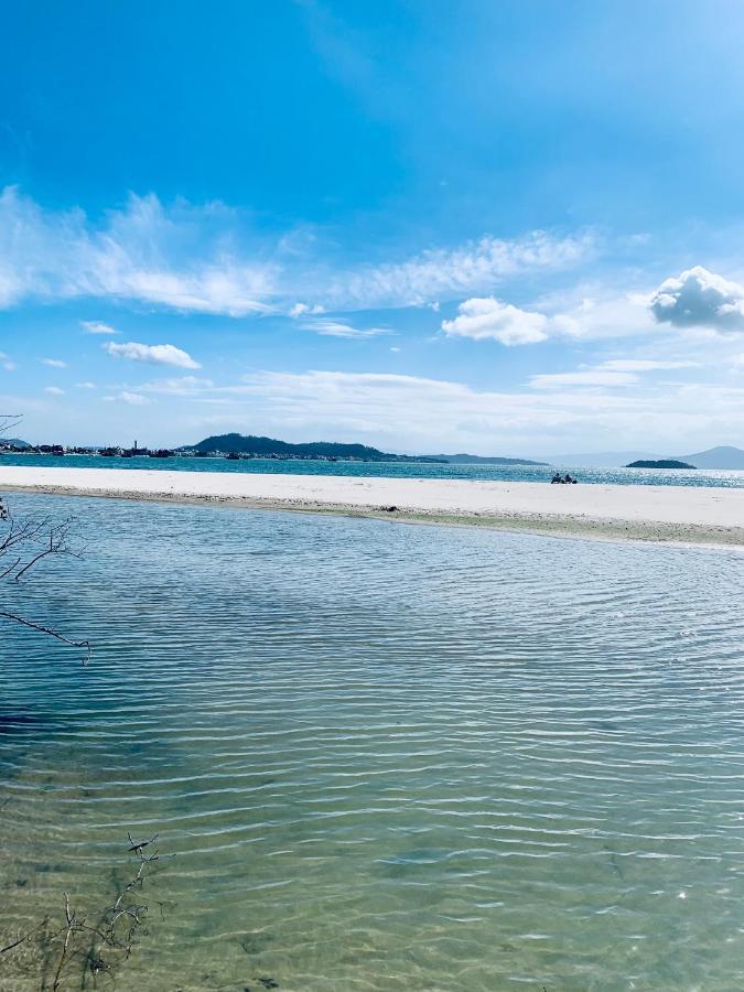 Azaléias Florianópolis
